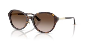 Jimmy Choo JC5044D 500213 54