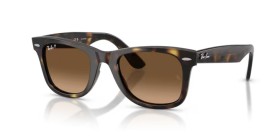 Ray-Ban Wayfarer RB4340 710/M2 50 Polarized