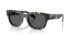 Ray-Ban RB2228M F70387 53
