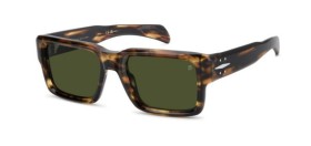 David Beckham DB 7159/S WR9/QT 53