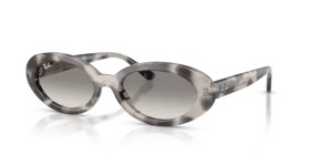 Ray-Ban RB2223 144832 54