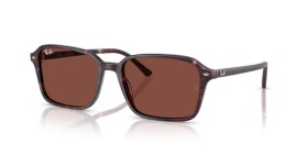 Ray-Ban Raimond RB2231 1416C5 56