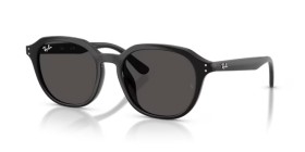 Ray-Ban RB4459D 901/87 54