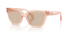 Armani Exchange AX4164SU 839593 53