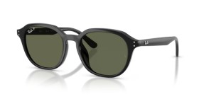 Ray-Ban RB4459D 901/9A 54 Polarized