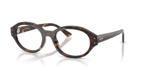 Ray-Ban Shilo RX7257 8320 54