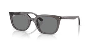 Ray-Ban RB4439D 667587 54