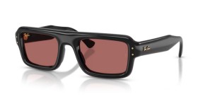 Ray-Ban RB4954 601/69 54