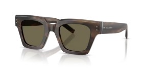 Dolce & Gabbana DG4413 3200/3 48