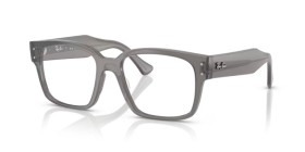Ray-Ban Laurene RX7256 8431 53