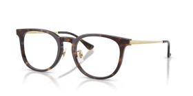Ray-Ban RX5453D 2012 52