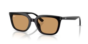 Ray-Ban RB4439D 901/73 54