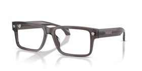 Versace VE3391U 5389 54