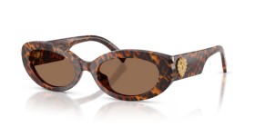 Dolce & Gabbana DG4537 347073 53