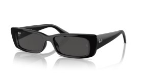 Ray-Ban Teru RB4425 667787 54