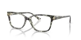 Jimmy Choo JC3012 5068 55