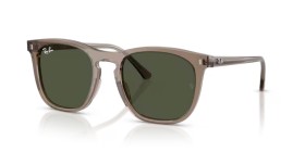 Ray-Ban RB2210 845731 53