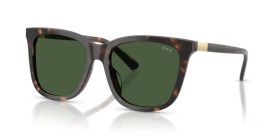 Polo PH4201U 500371 55