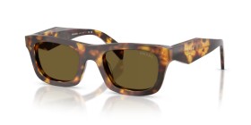Prada PR C06S 14L09Z 49