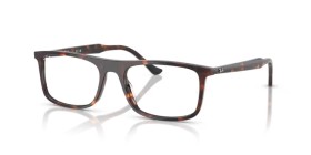 Ray-Ban RX5440 2012 55