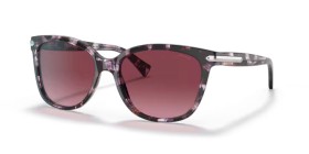 Coach HC8132 55488H 57
