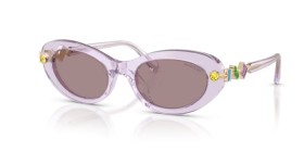 Swarovski SK6042 1079LA 53