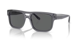 Emporio Armani EA4197 502987 57