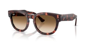 Ray-Ban Mega Hawkeye RB0298S 133451 53