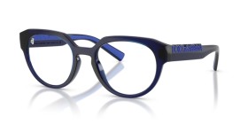 Dolce & Gabbana DG5113 3009 53