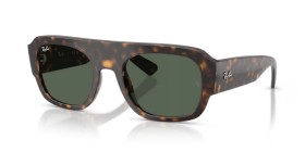Ray-Ban RB2218 679071 55