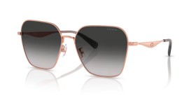 Coach HC7168 93313C 58