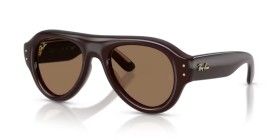 Ray-Ban RB4925 689673 50
