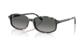 Ray-Ban RB2232 133371 54