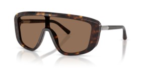 Dolce & Gabbana DG4520 502/73 28