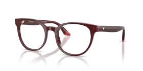 Emporio Armani EA3274 6320 52