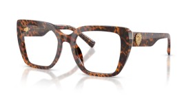Dolce & Gabbana DG3441 3470 53