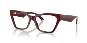 Jimmy Choo JC3021H 5057 52