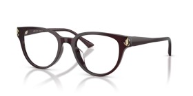 Jimmy Choo JC3051D 5086 51