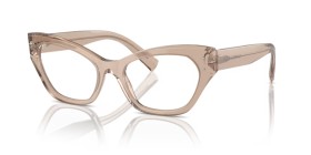Dolce & Gabbana DG3385 3432 54