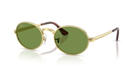 Ray-Ban RB3931 001/4E 54