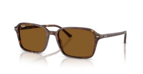 Ray-Ban Raimond RB2231 141833 58