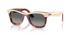 Ray-Ban Wayfarer RB2240 144371 50
