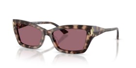 Jimmy Choo JC5011U 50701A 55