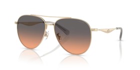 Coach HC7169 900518 57