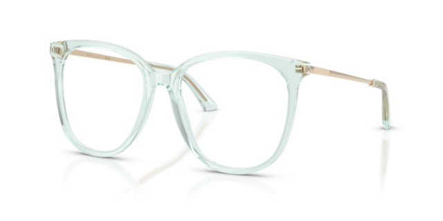 Jimmy Choo JC3060 5108 55
