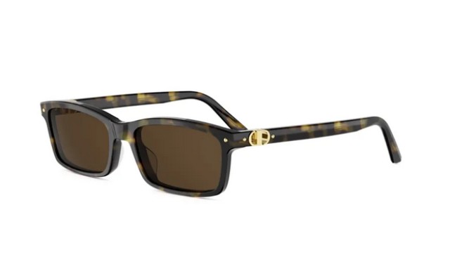 Dior PETIT CD S1I 20F0 54