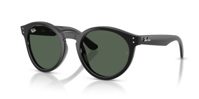 Ray-Ban RBR0505S 6677VR 52