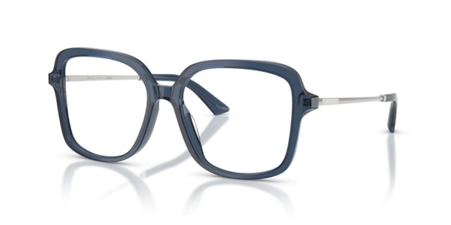 Jimmy Choo JC3061U 5035 55