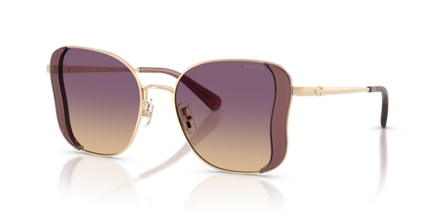 Coach HC7188 900570 50