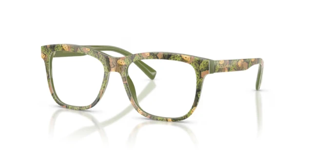 Dolce & Gabbana Kids DX3356 3488 49
